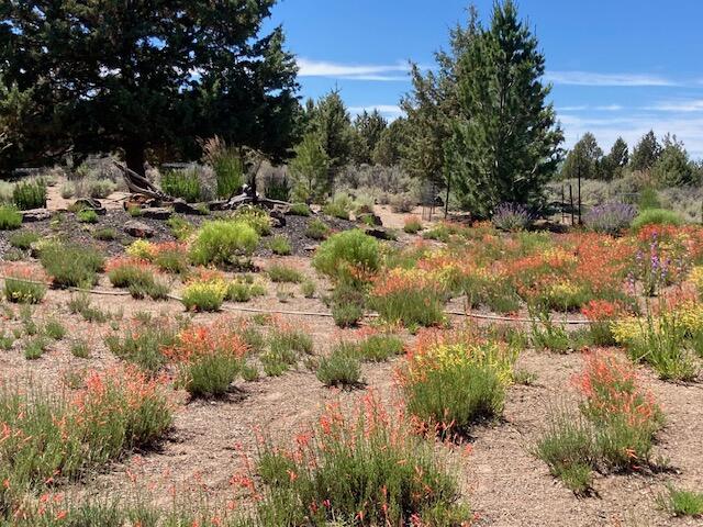 22370 White Peaks Drive