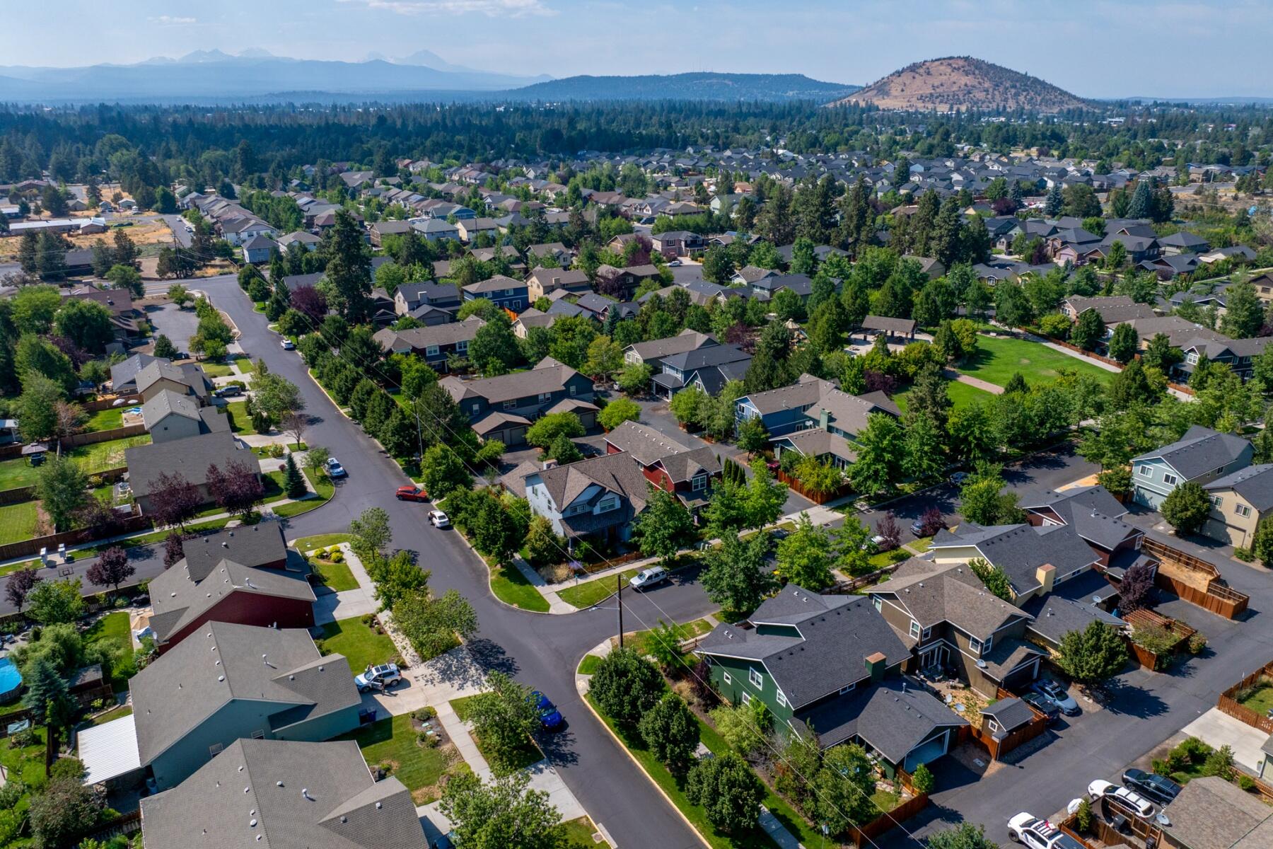 61702 Camellia Street