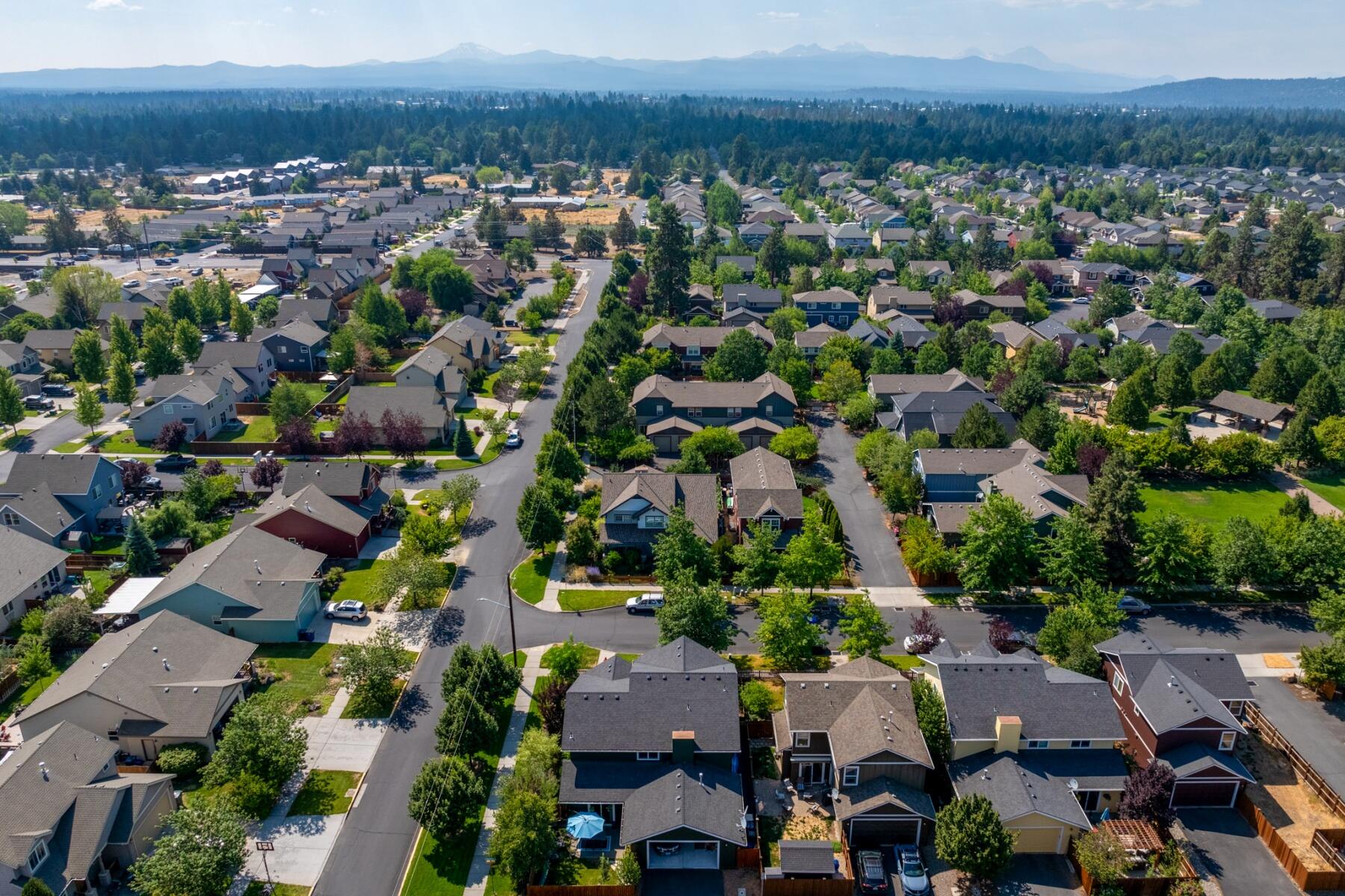 61702 Camellia Street