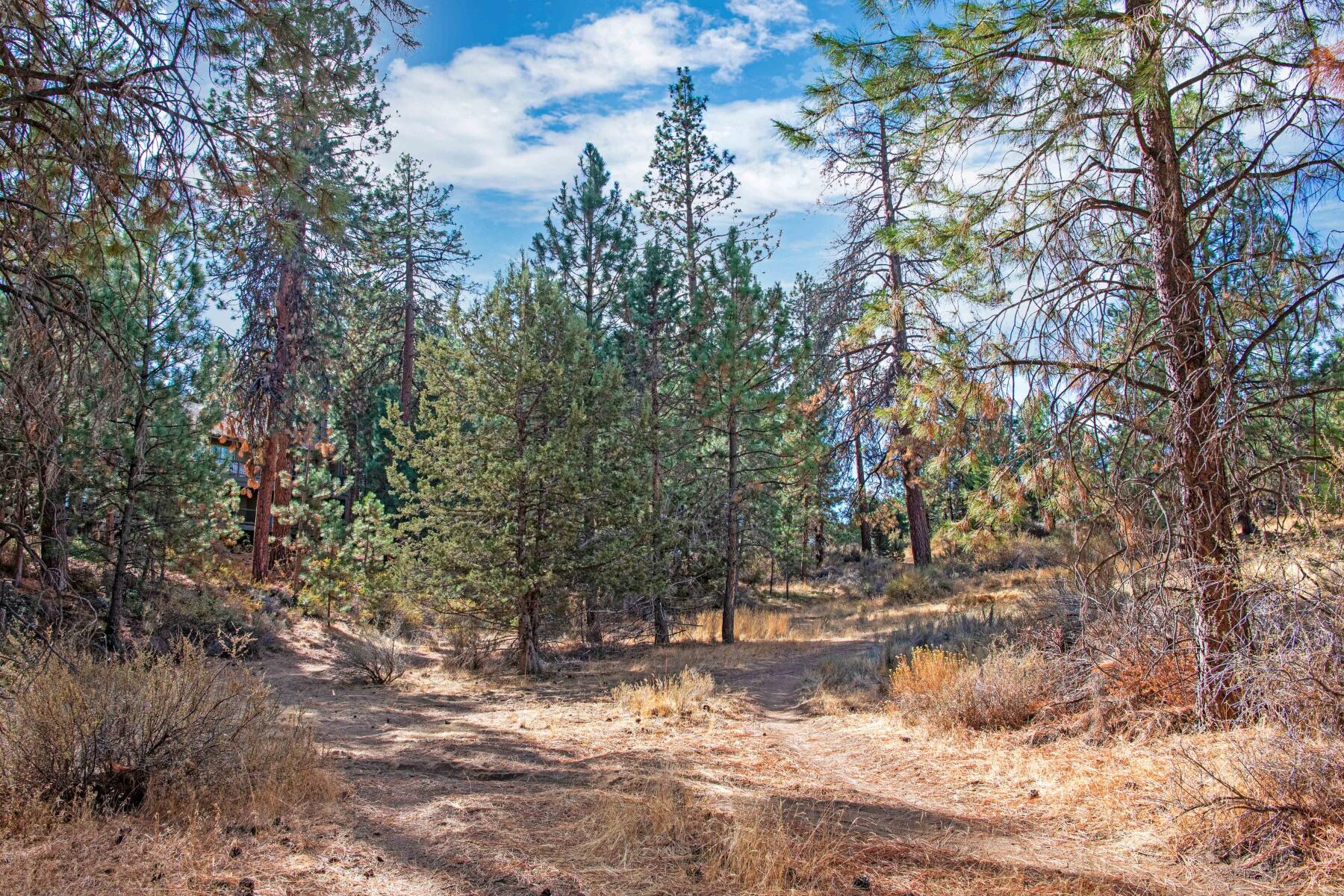 19717 Mt Bachelor Drive, 112