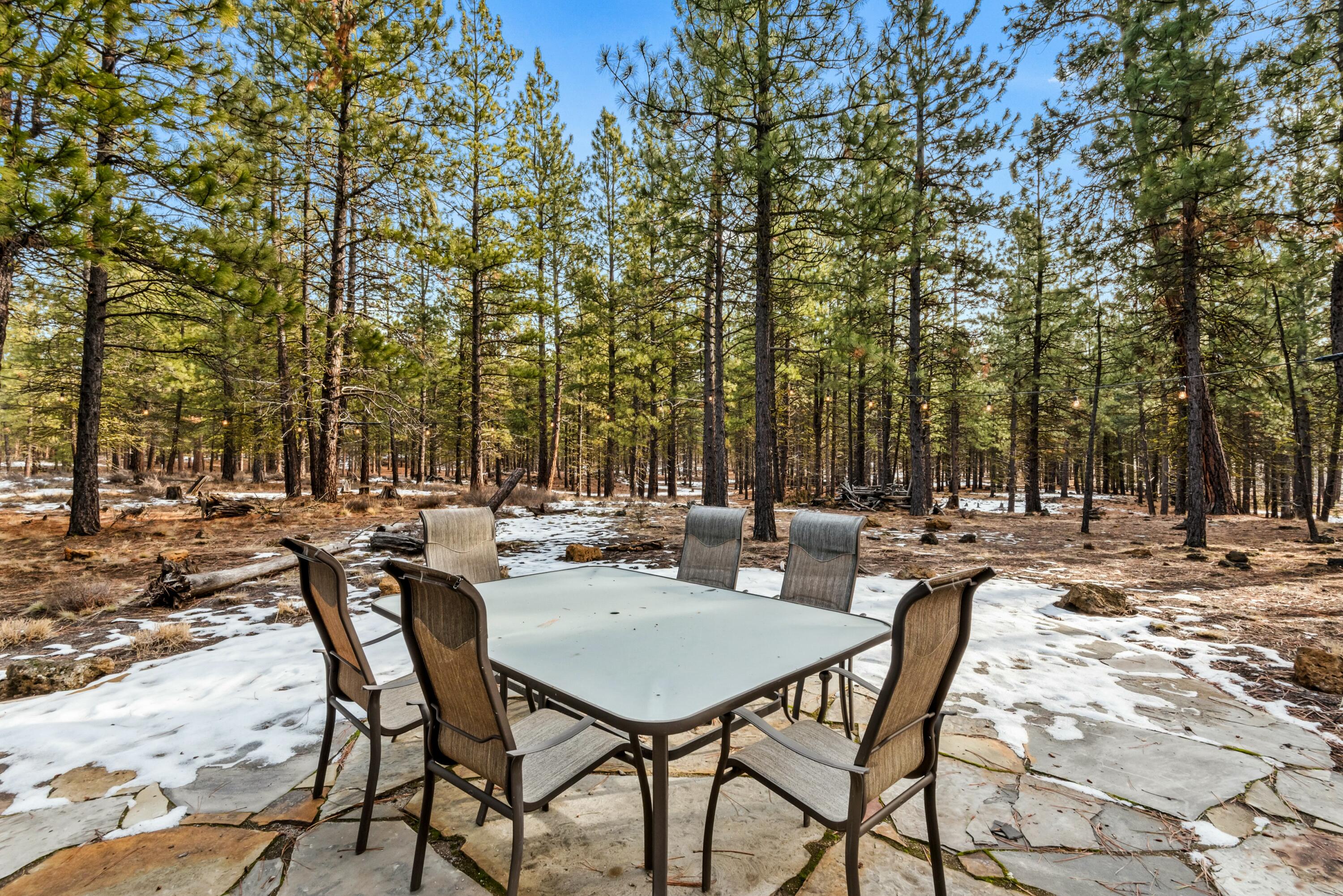 13778 Partridge Foot