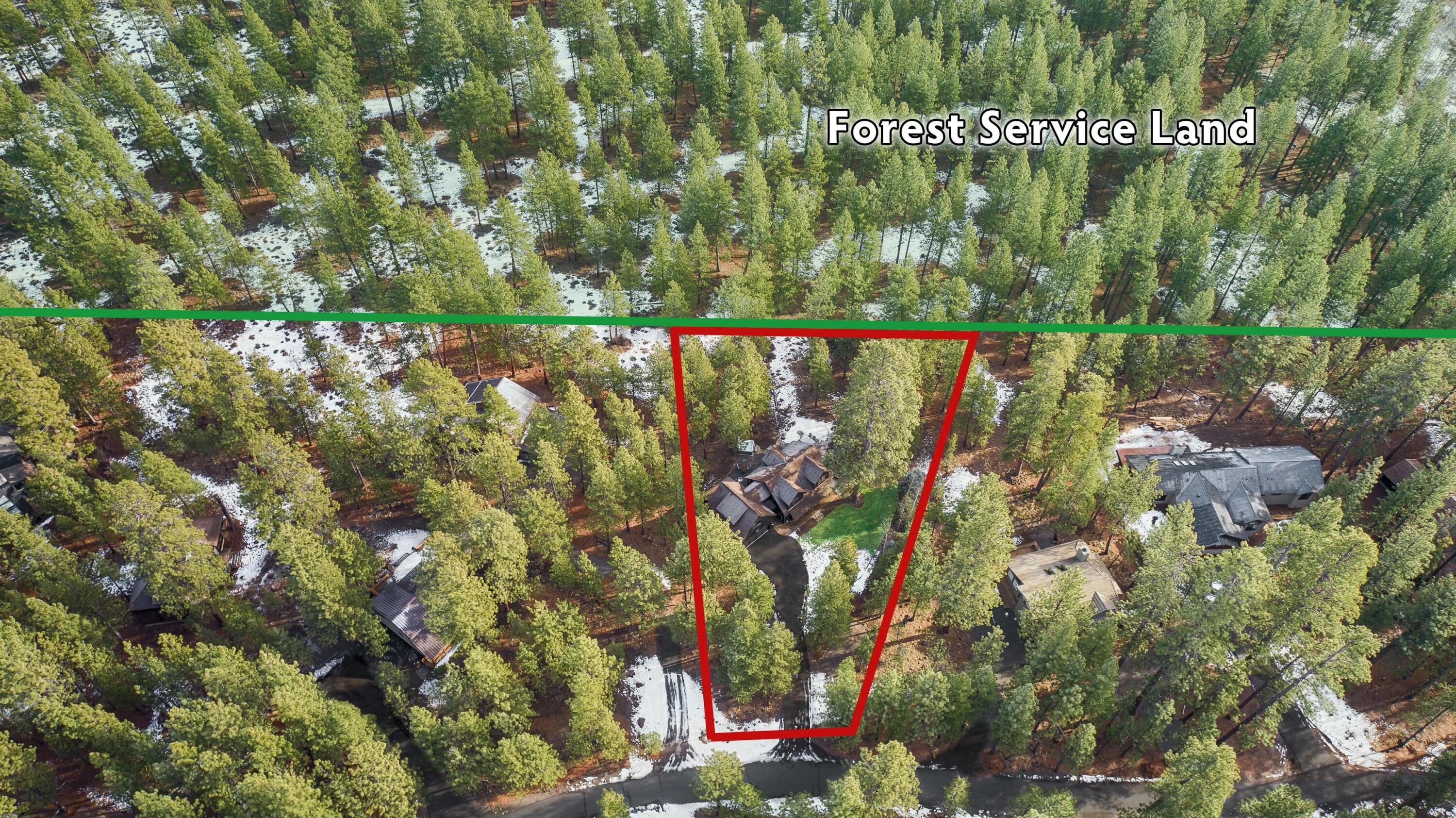 13778 Partridge Foot