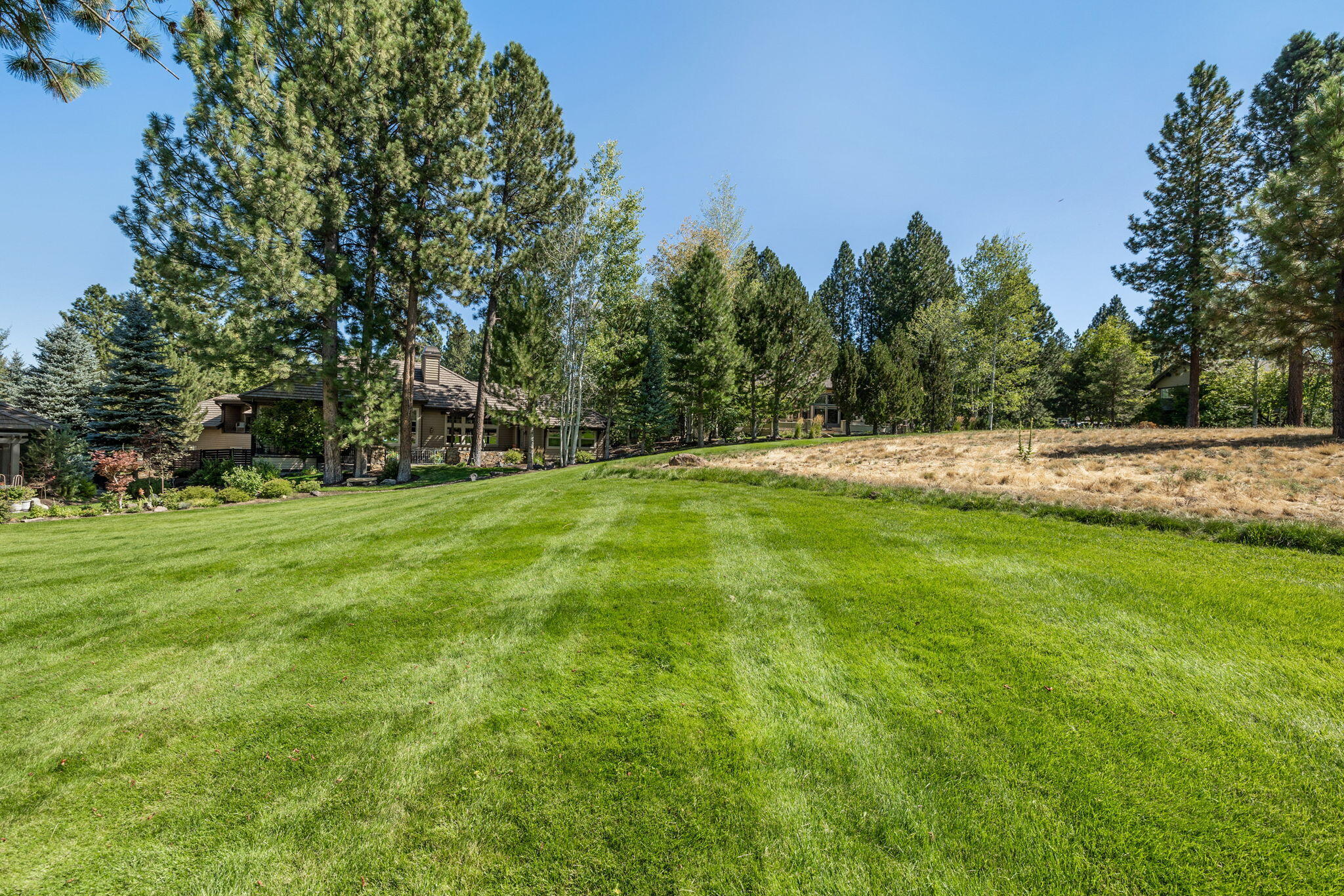 61305 Tam McArthur Loop