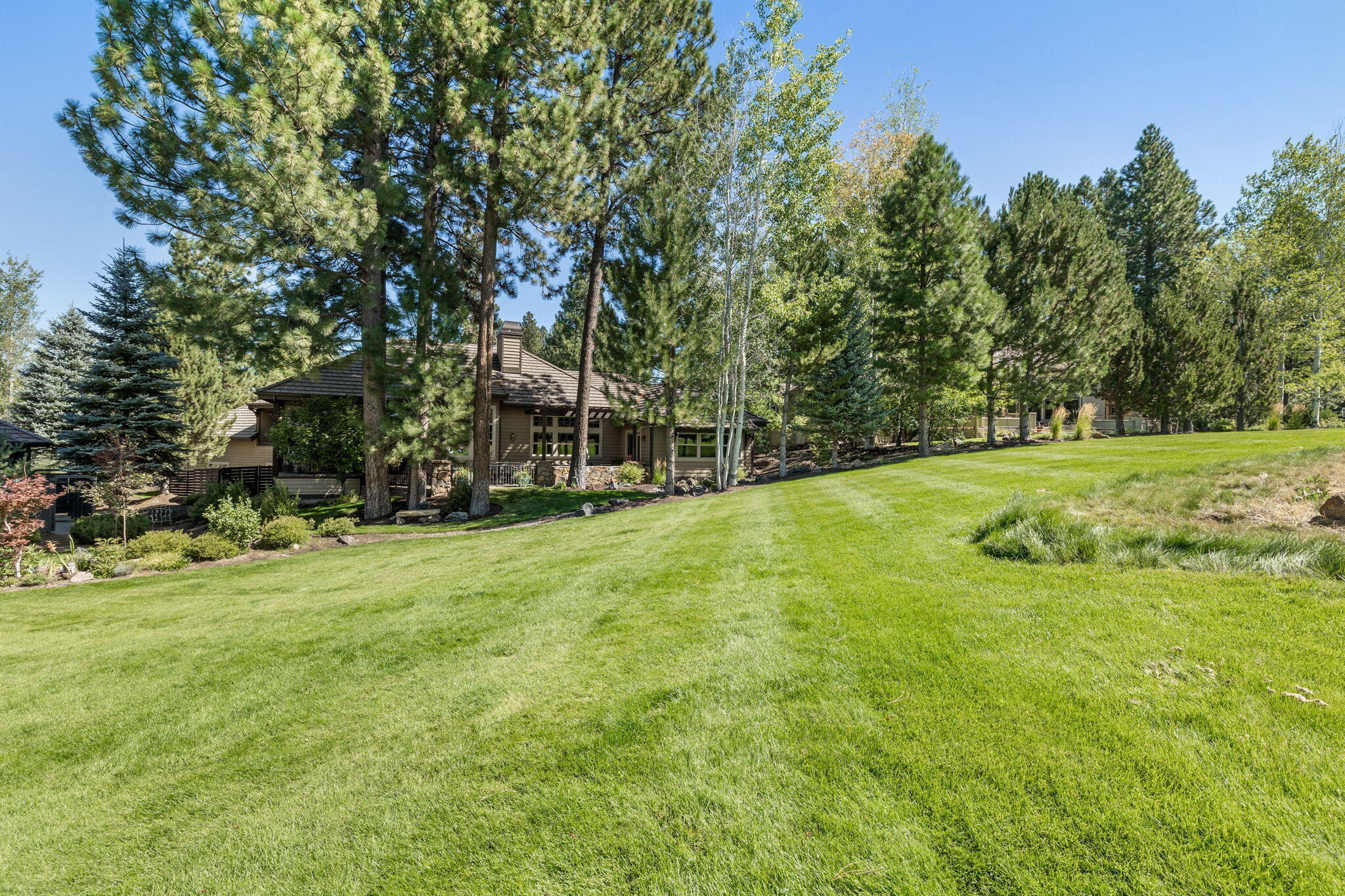 61305 Tam McArthur Loop