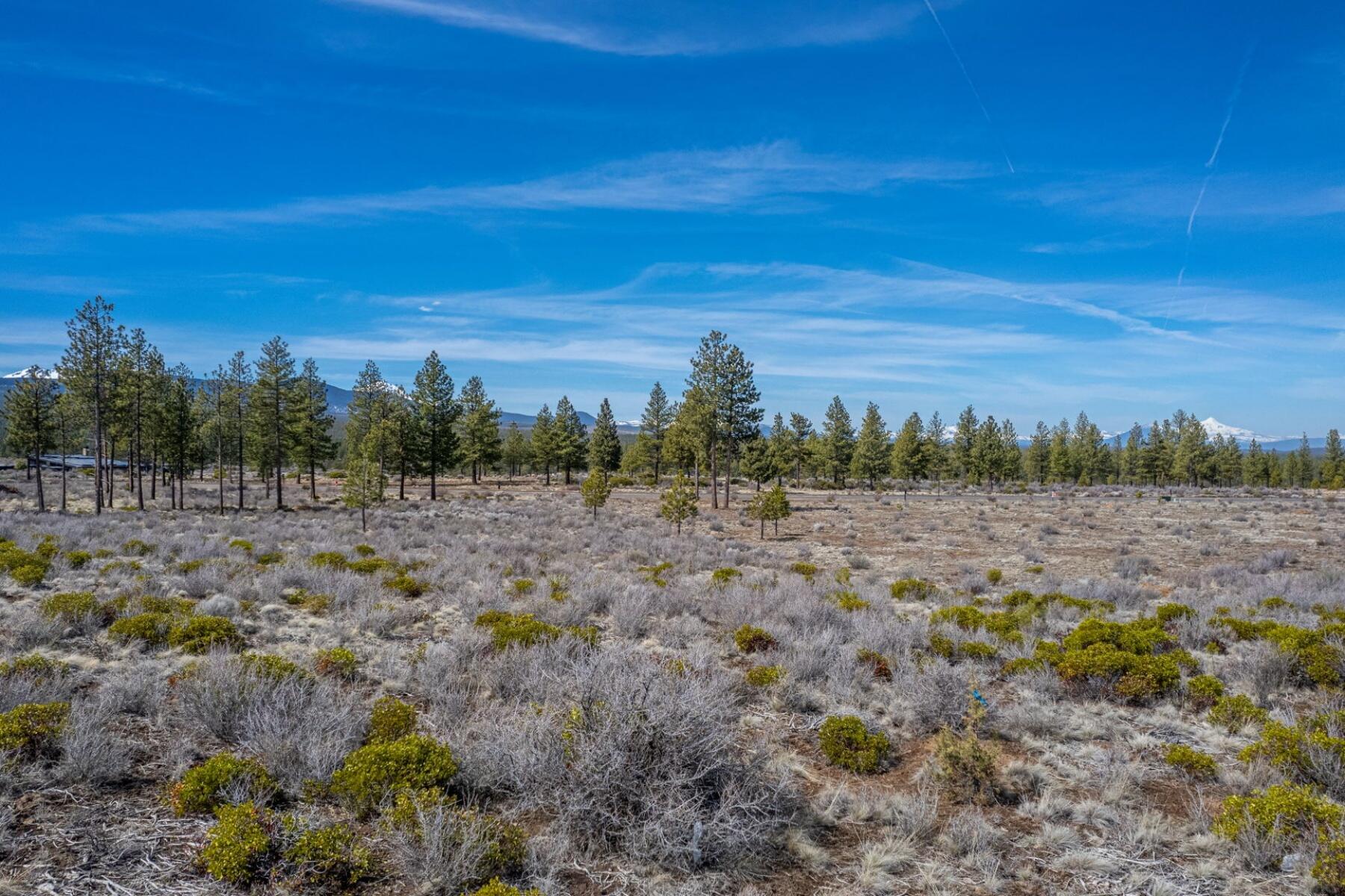 19005 Timber Ridge Court