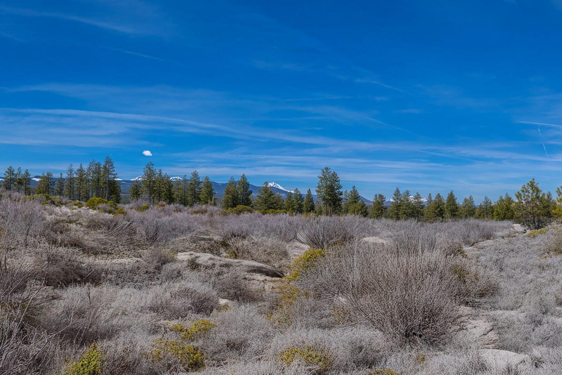 19005 Timber Ridge Court