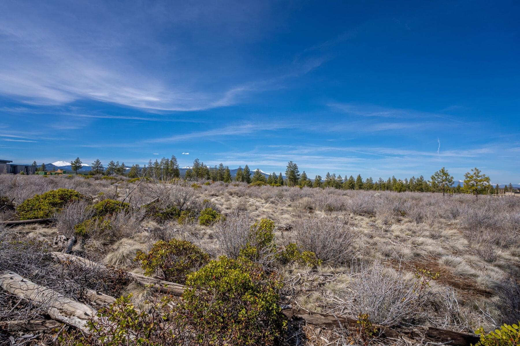 19005 Timber Ridge Court