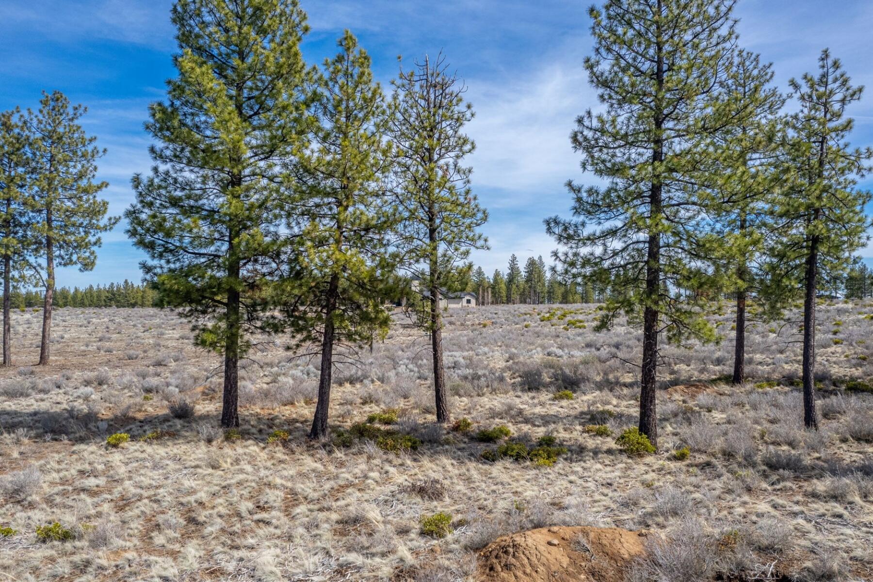 19005 Timber Ridge Court