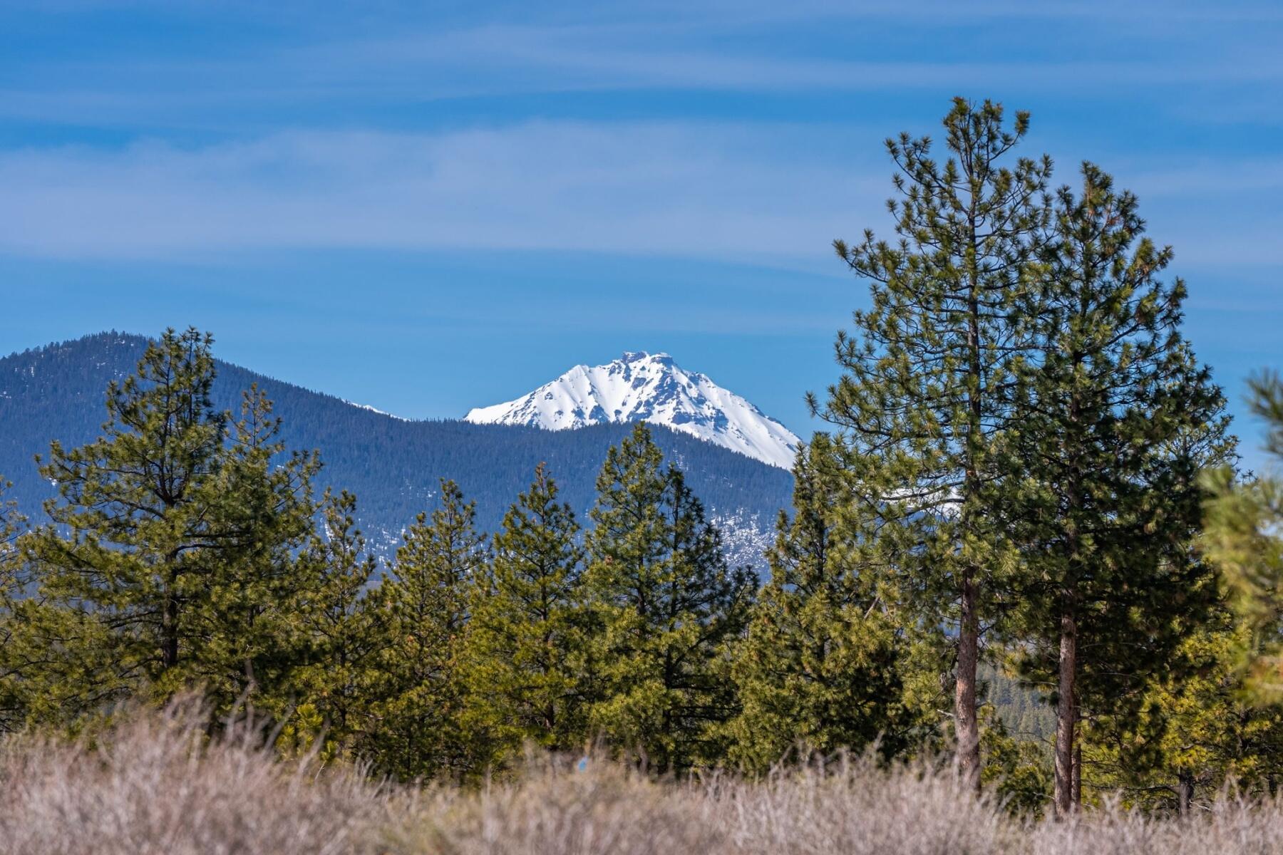 19005 Timber Ridge Court