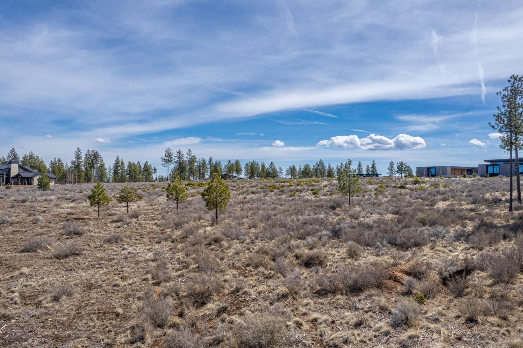 19005 Timber Ridge Court