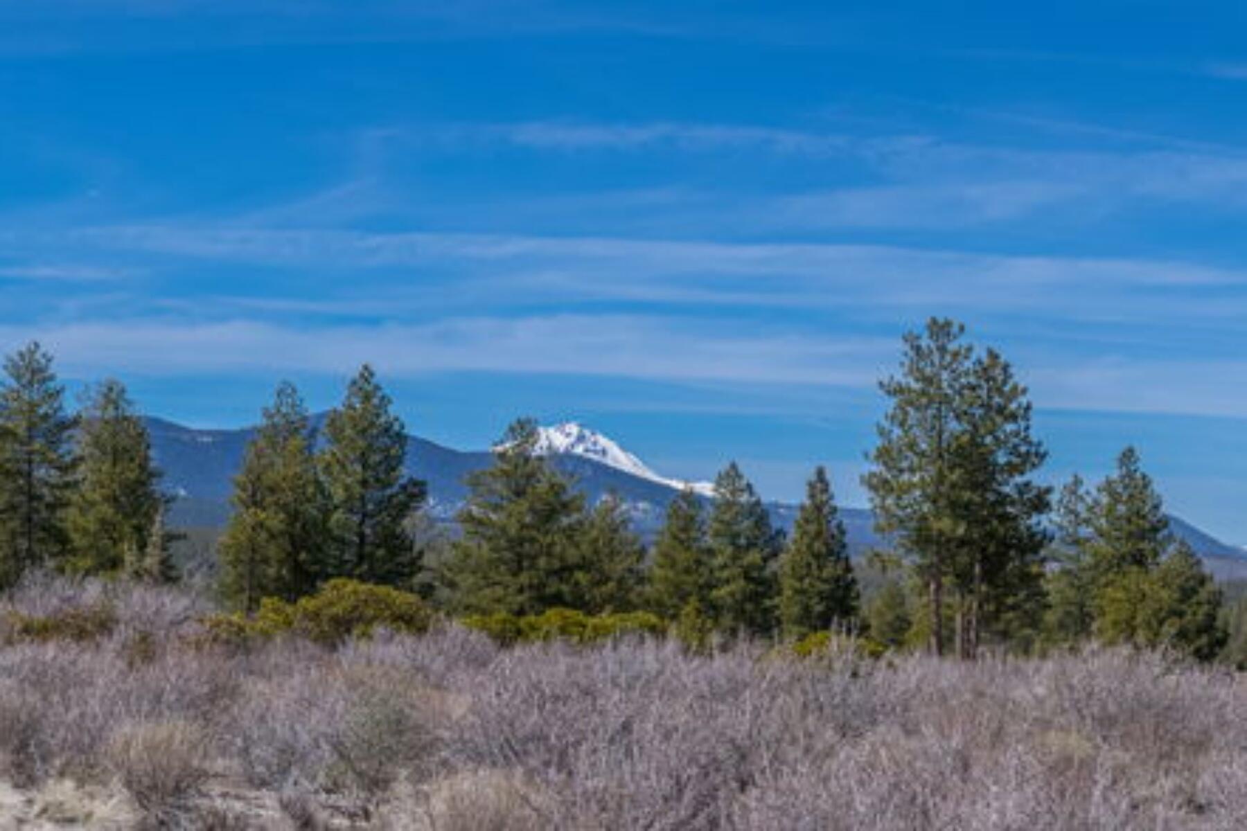 19005 Timber Ridge Court