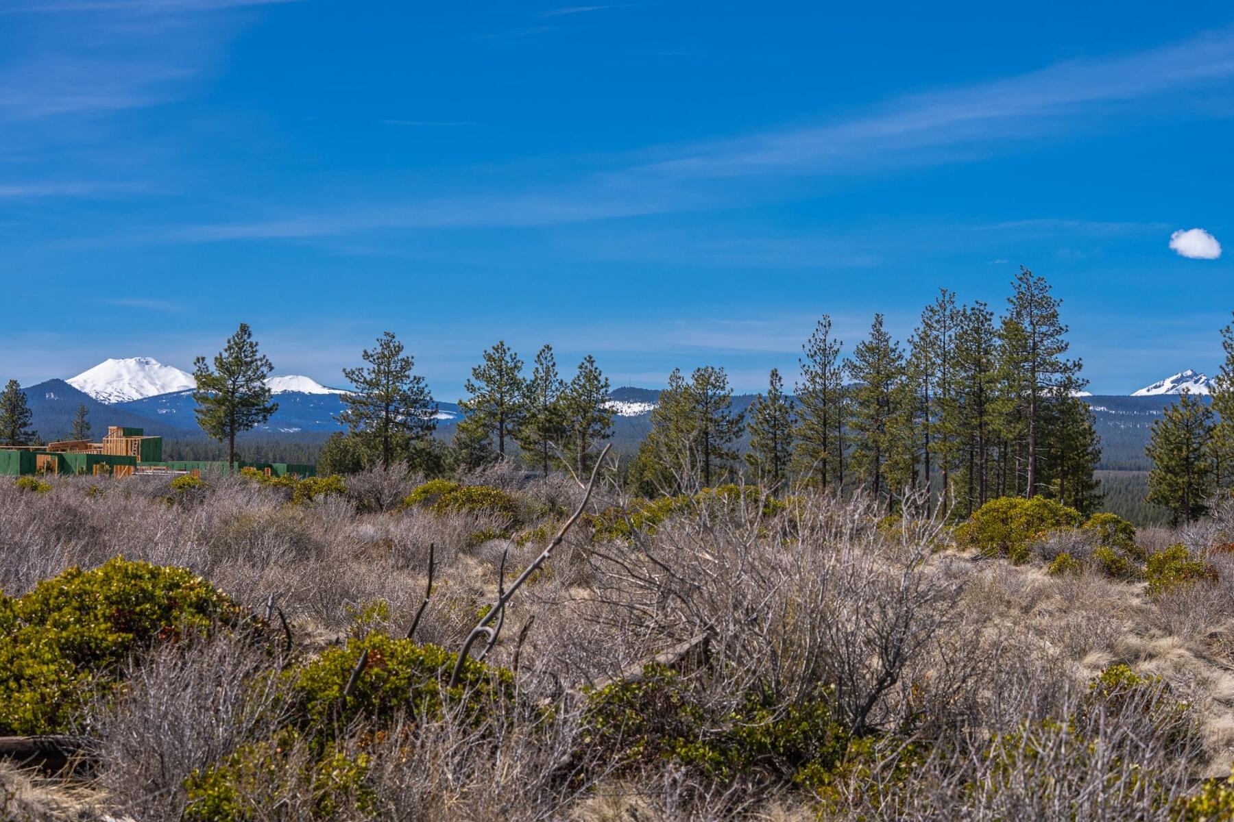 19005 Timber Ridge Court