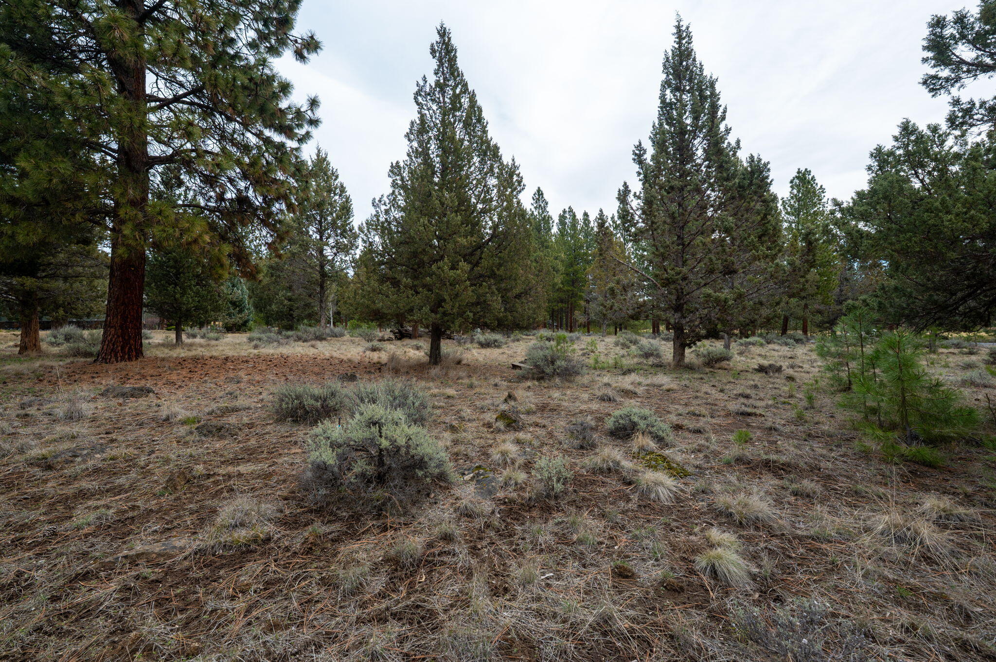 17074 Lady Caroline Drive