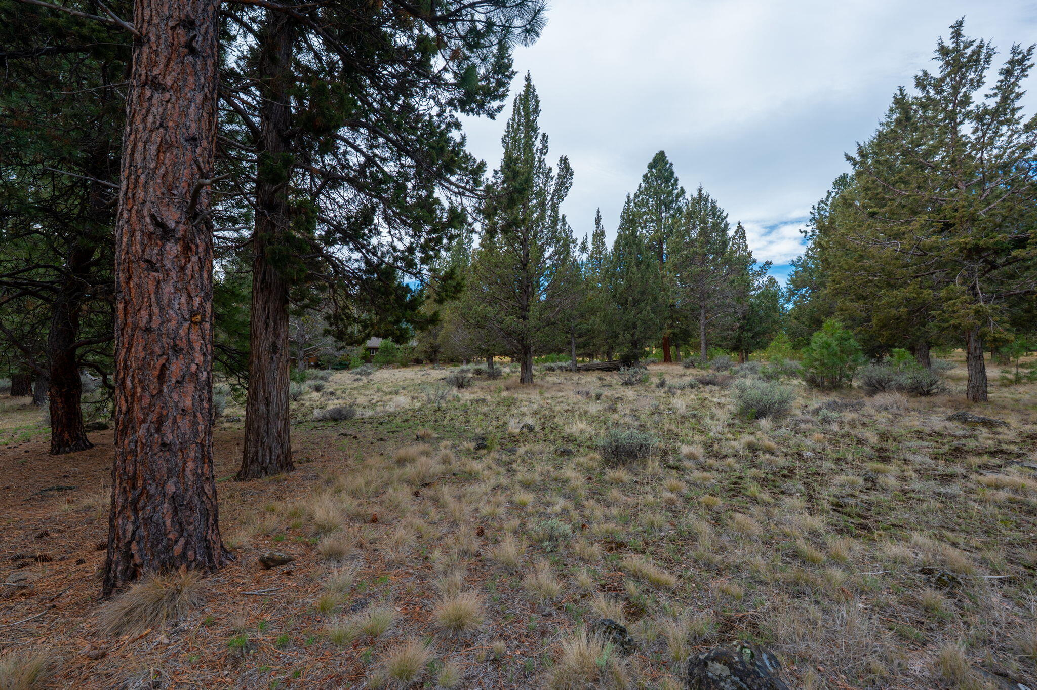 17074 Lady Caroline Drive