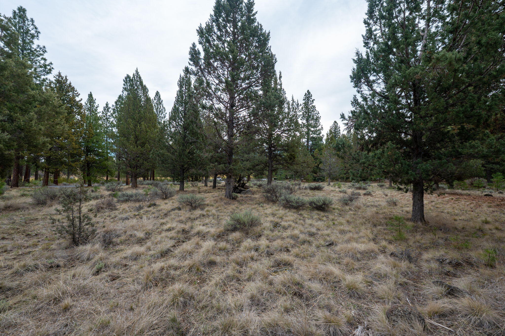 17074 Lady Caroline Drive