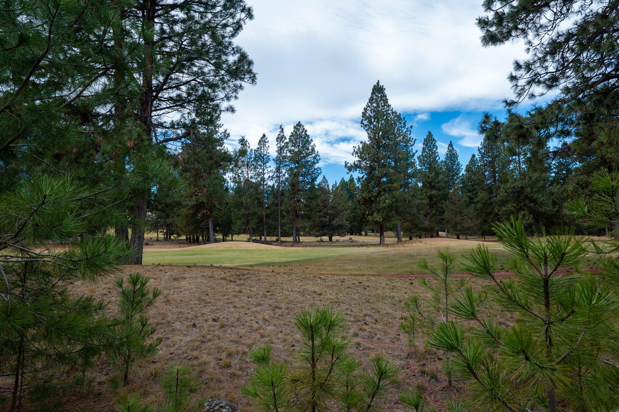 17074 Lady Caroline Drive