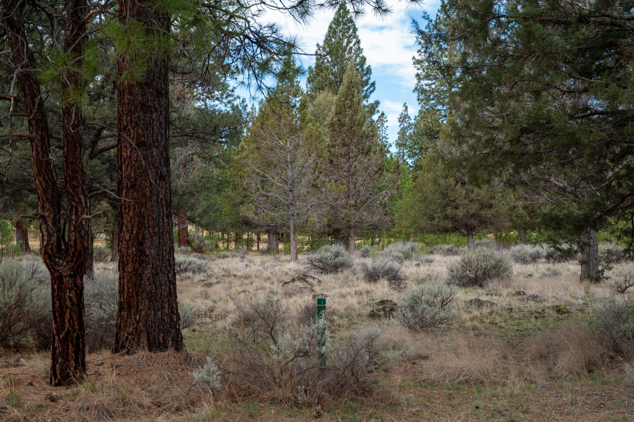 17074 Lady Caroline Drive