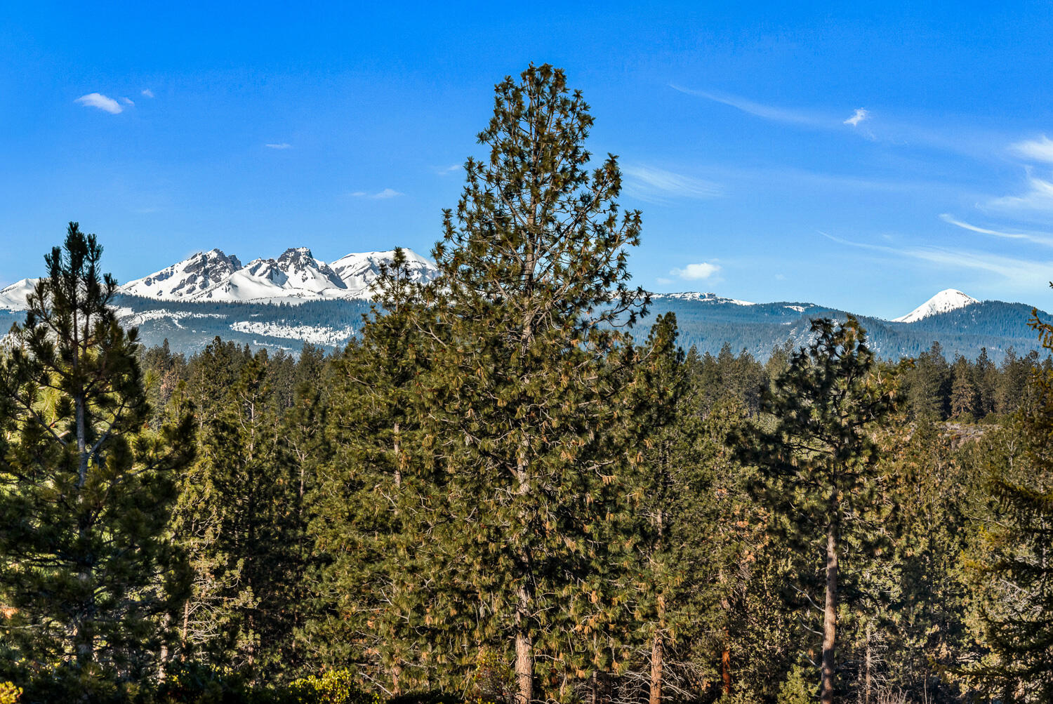 61069 Bachelor View Road