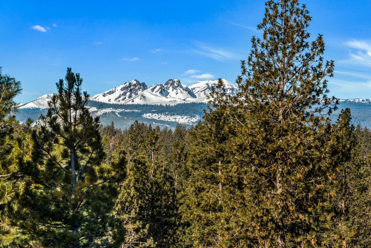 61069 Bachelor View Road