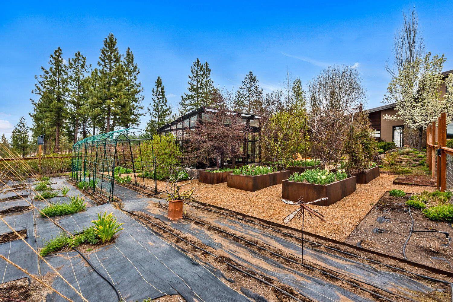 61069 Bachelor View Road