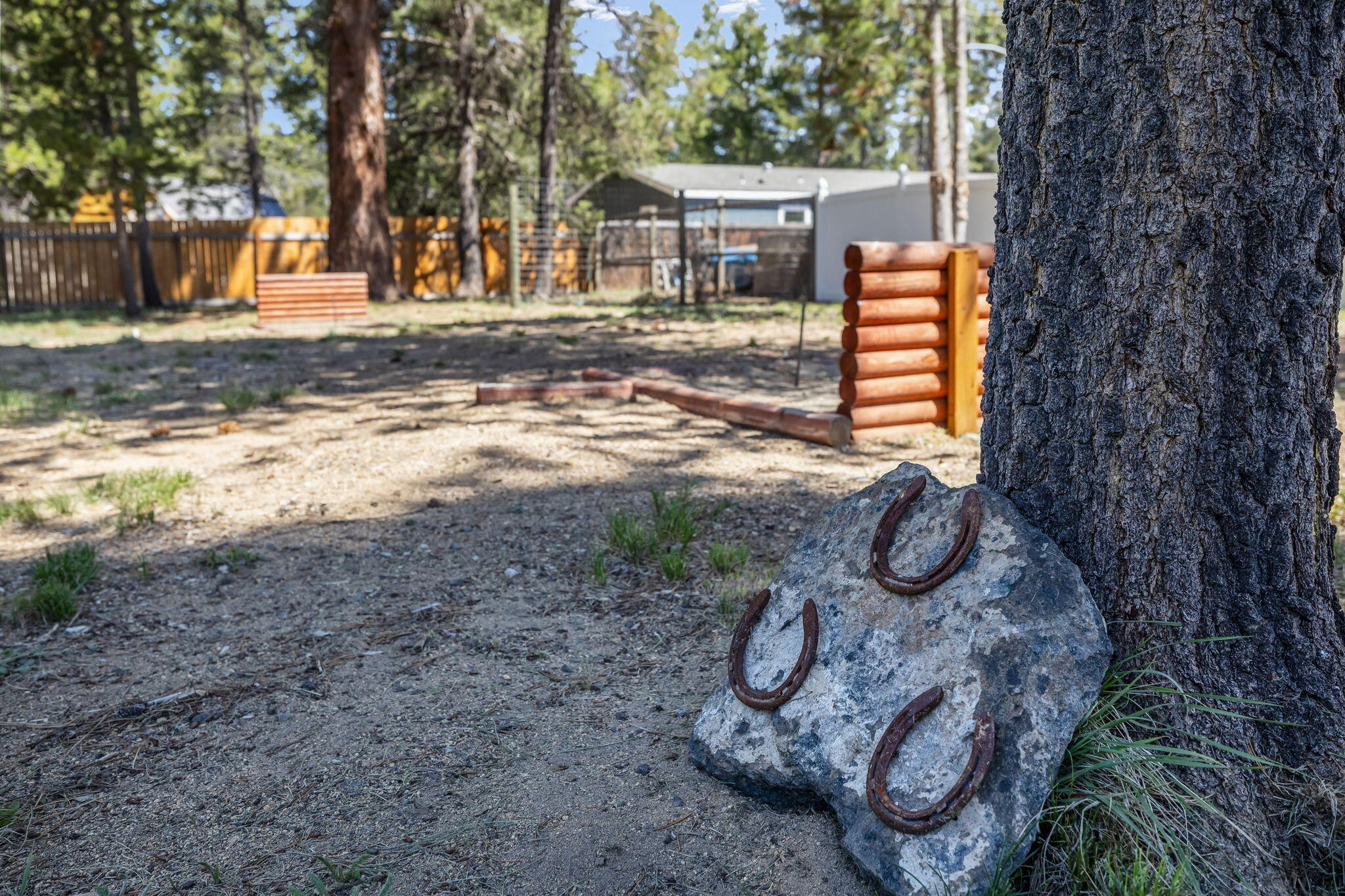 15670 Sunrise Boulevard