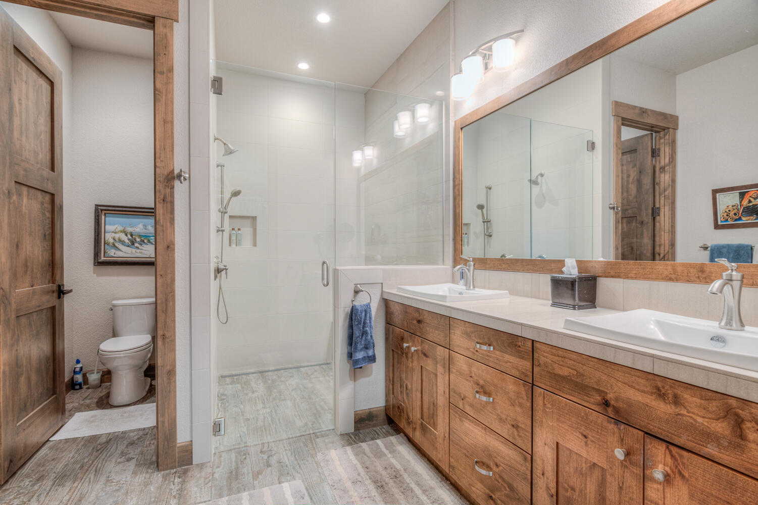 60442 Snap Shot Loop