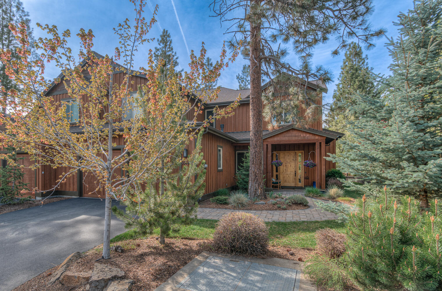 60442 Snap Shot Loop