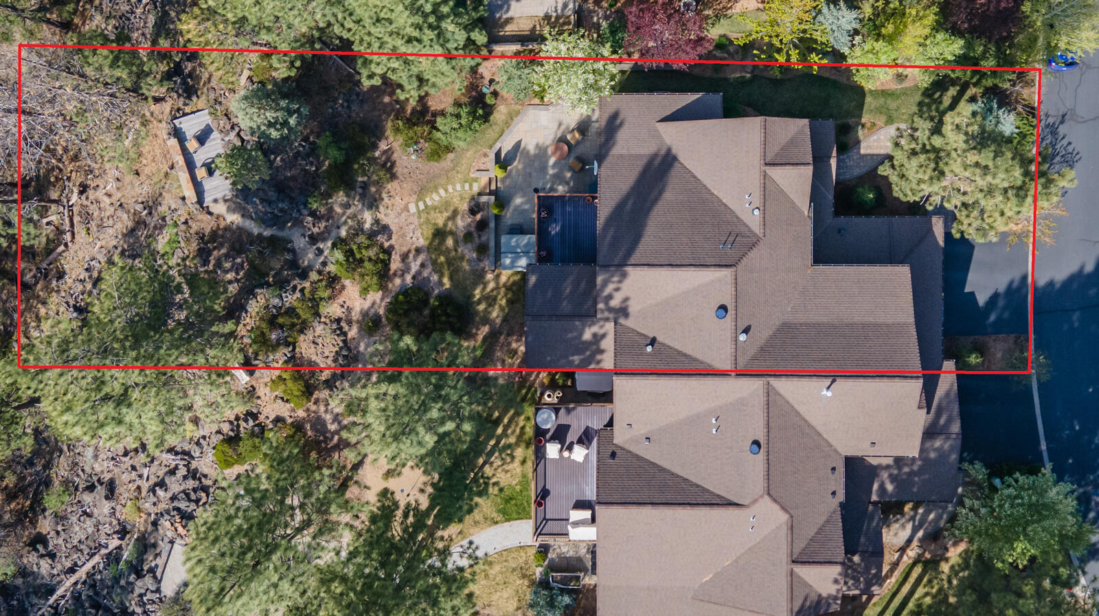 60442 Snap Shot Loop