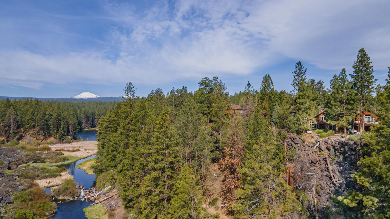 60442 Snap Shot Loop