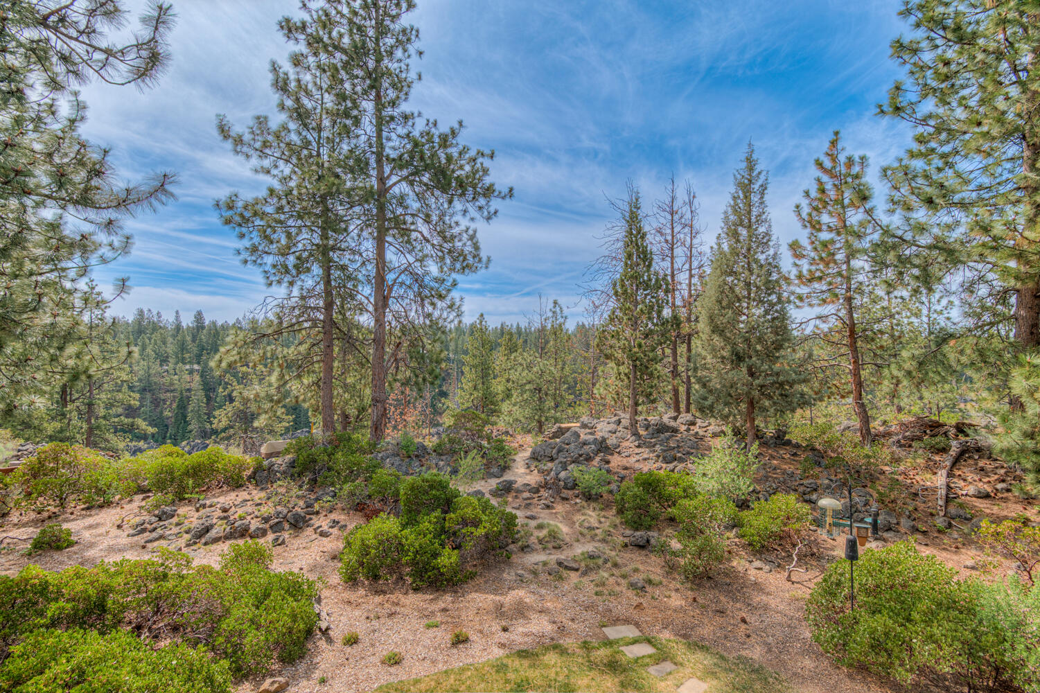 60442 Snap Shot Loop