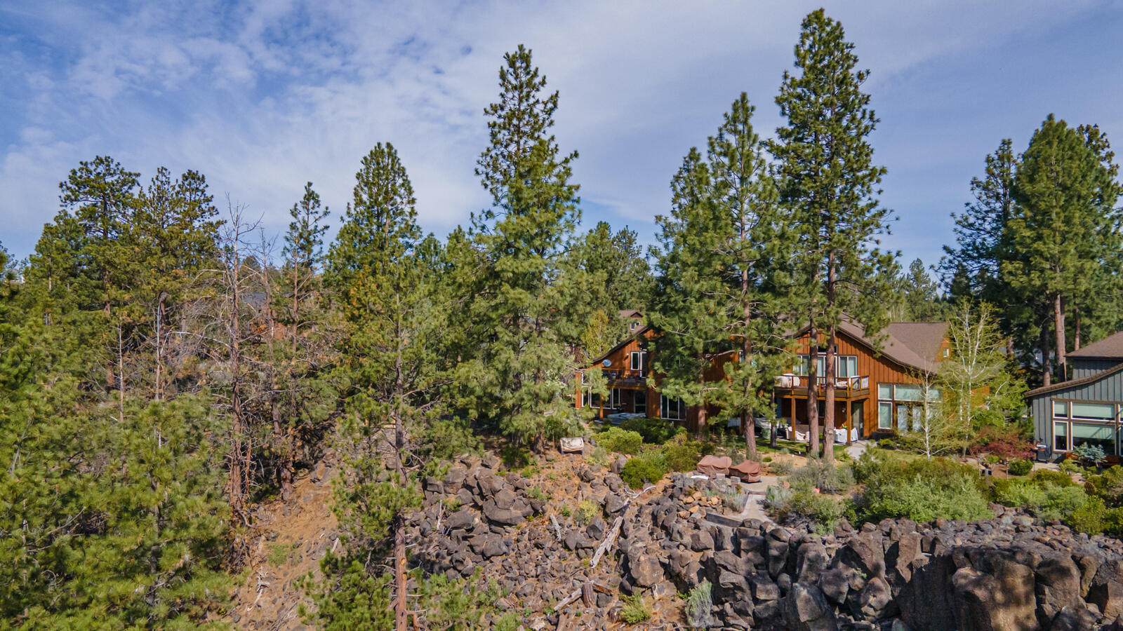 60442 Snap Shot Loop