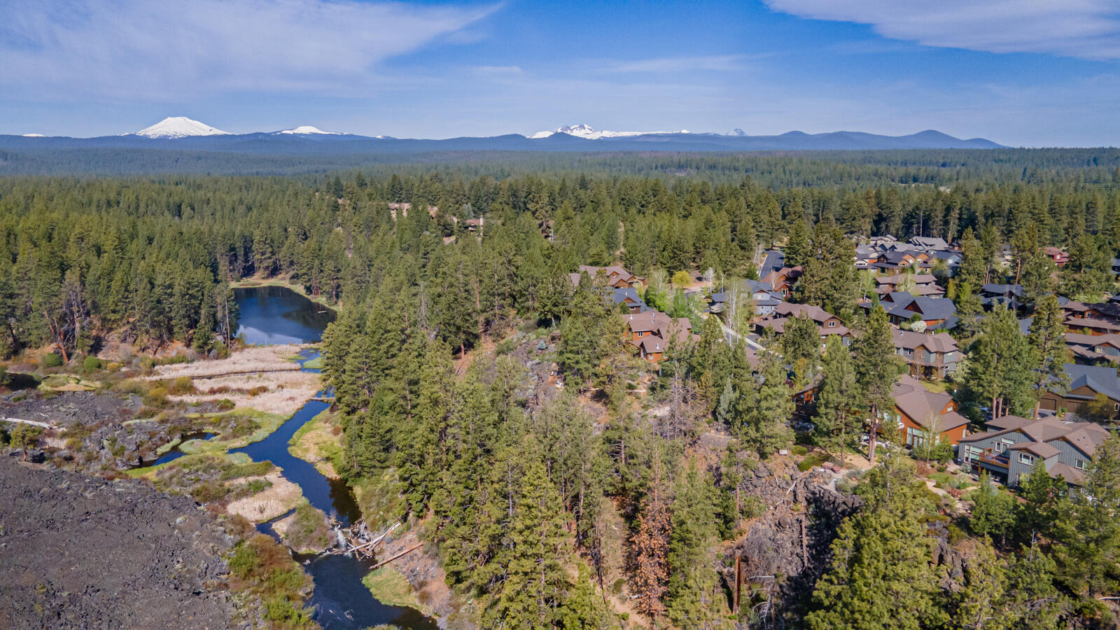 60442 Snap Shot Loop