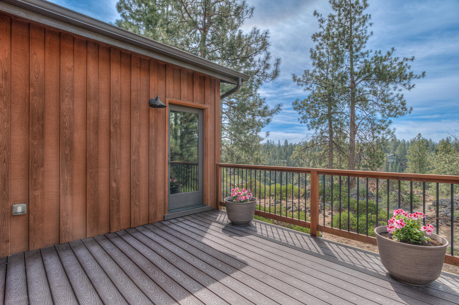 60442 Snap Shot Loop