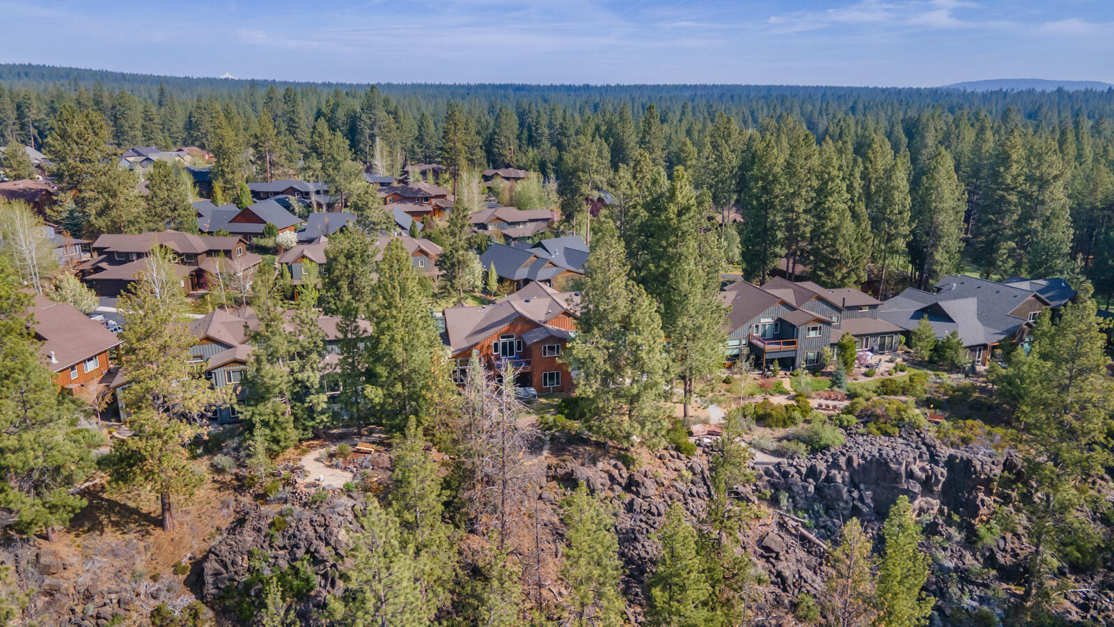 60442 Snap Shot Loop