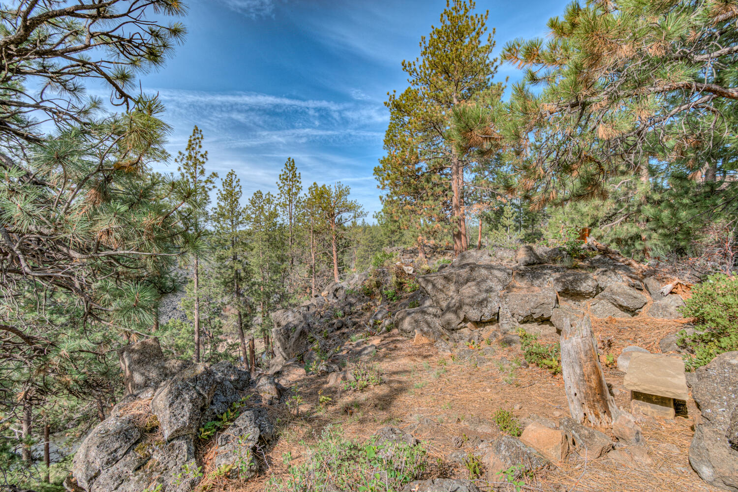 60442 Snap Shot Loop