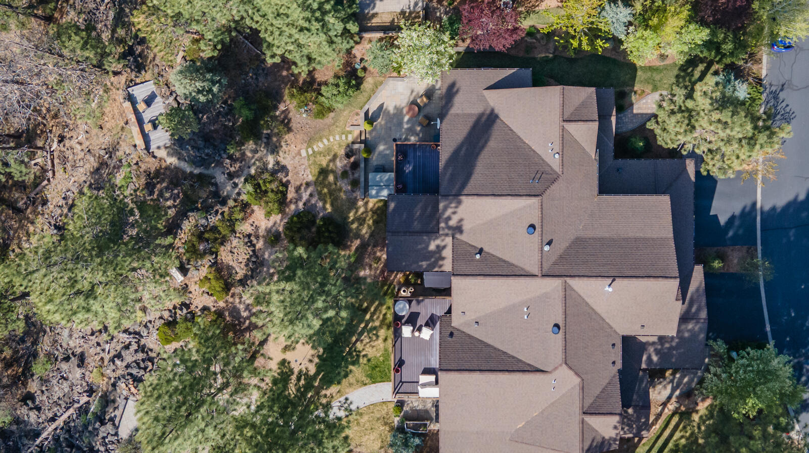 60442 Snap Shot Loop