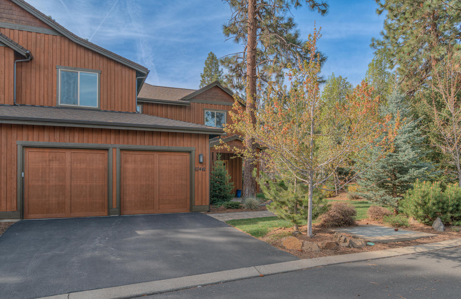 60442 Snap Shot Loop