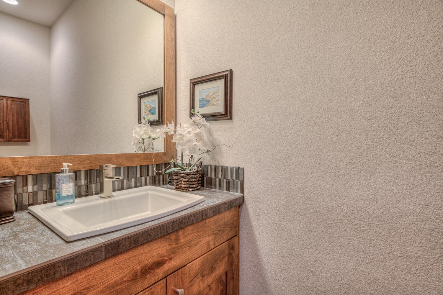 60442 Snap Shot Loop