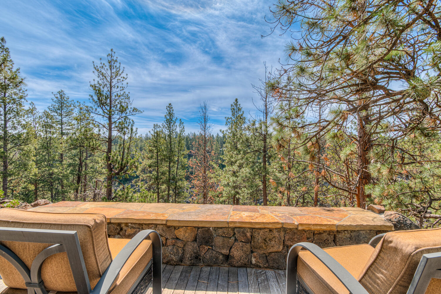 60442 Snap Shot Loop