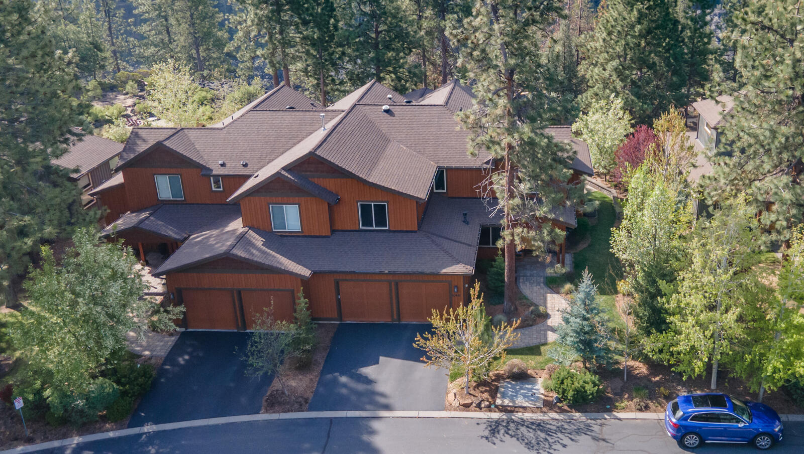 60442 Snap Shot Loop