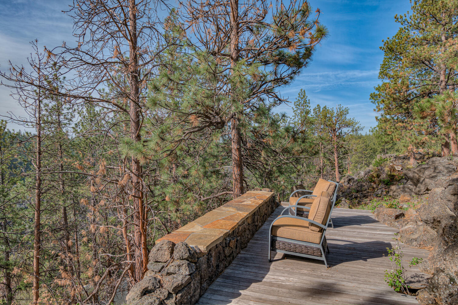 60442 Snap Shot Loop