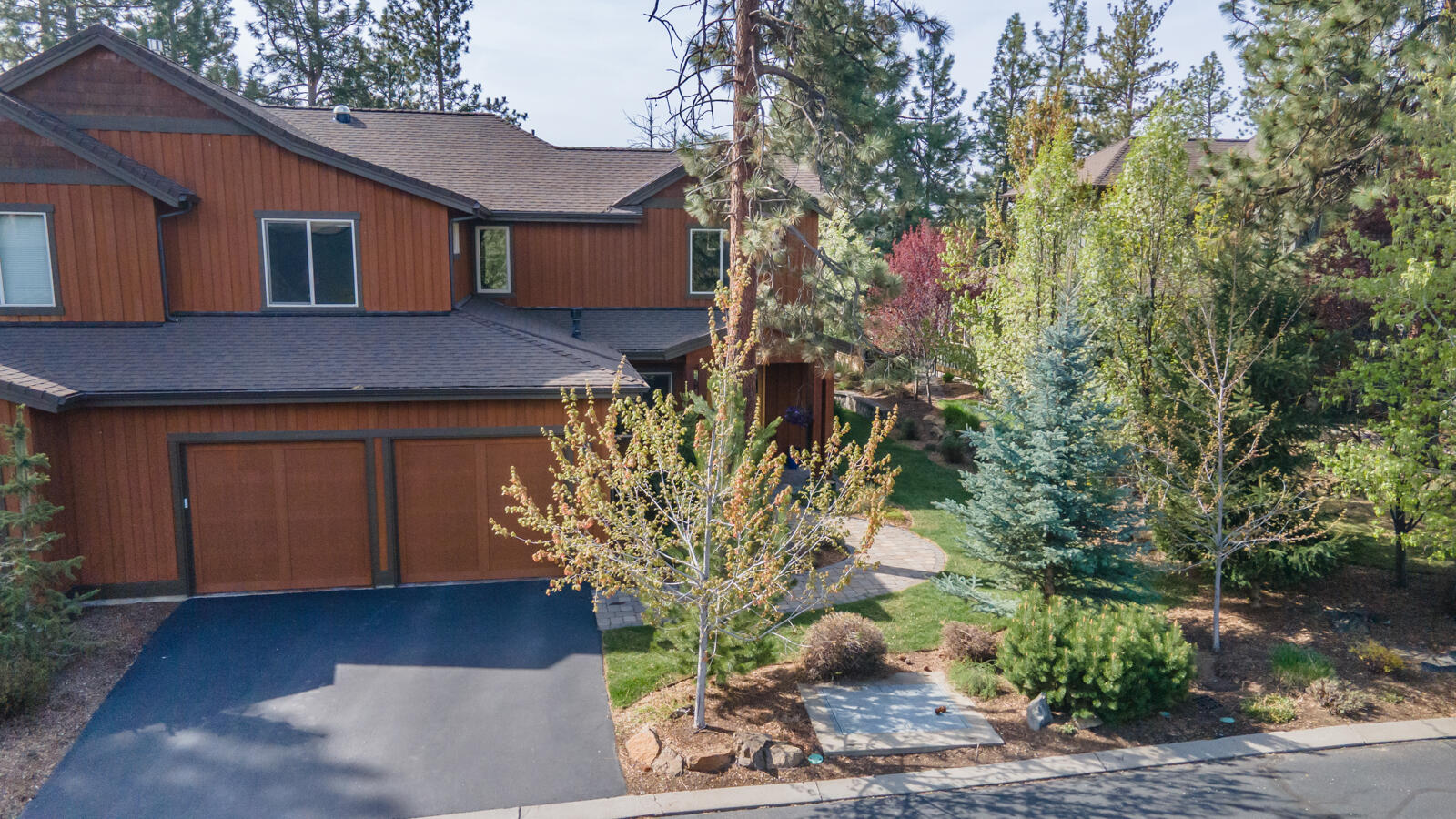 60442 Snap Shot Loop