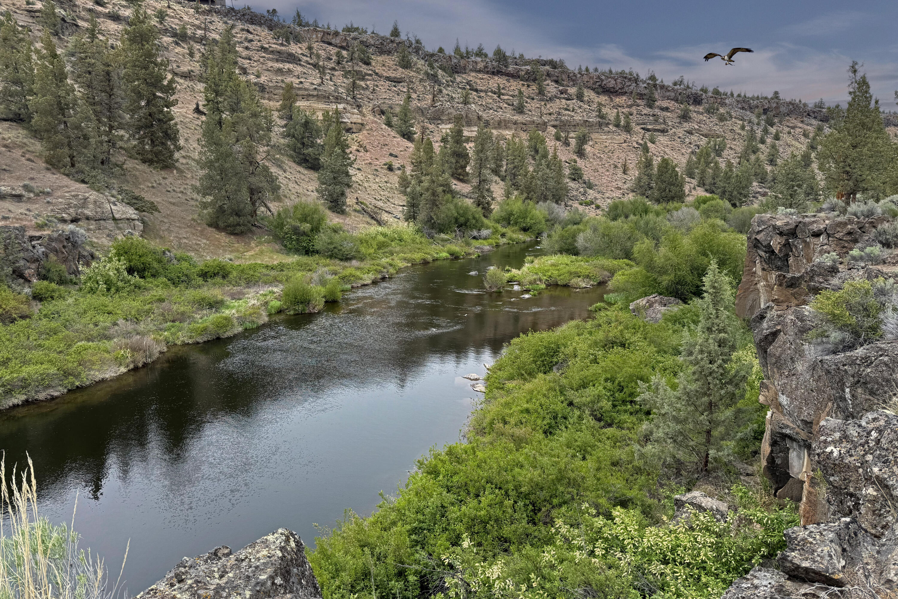 8050 NW Grubstake Way