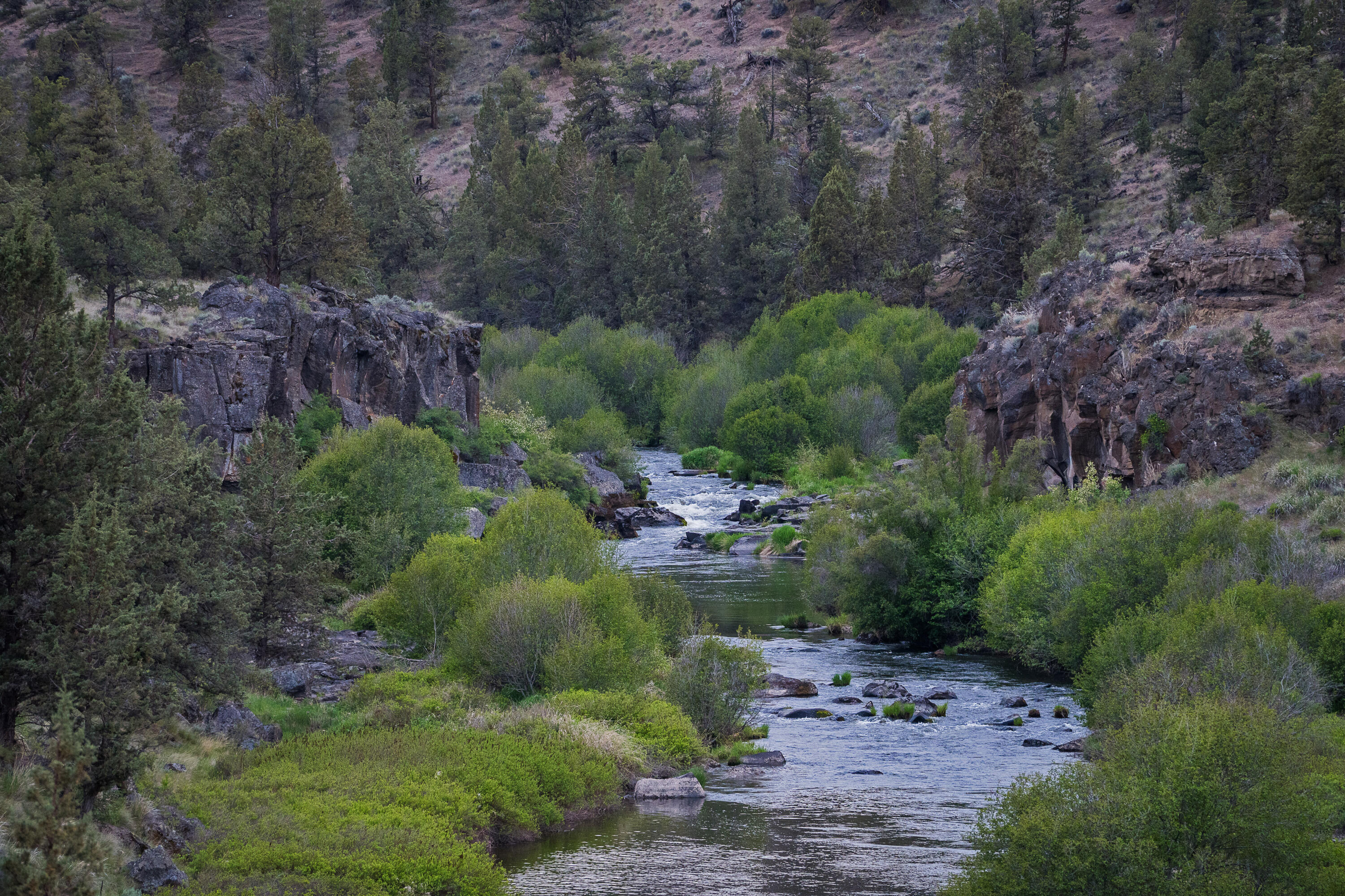 8050 NW Grubstake Way