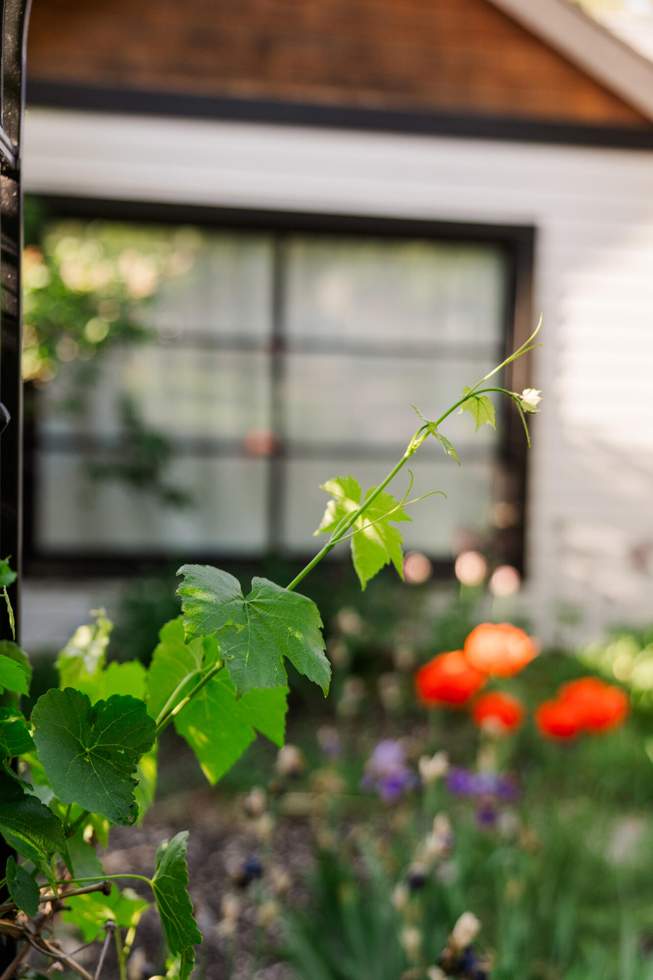 621 NW Delaware Avenue