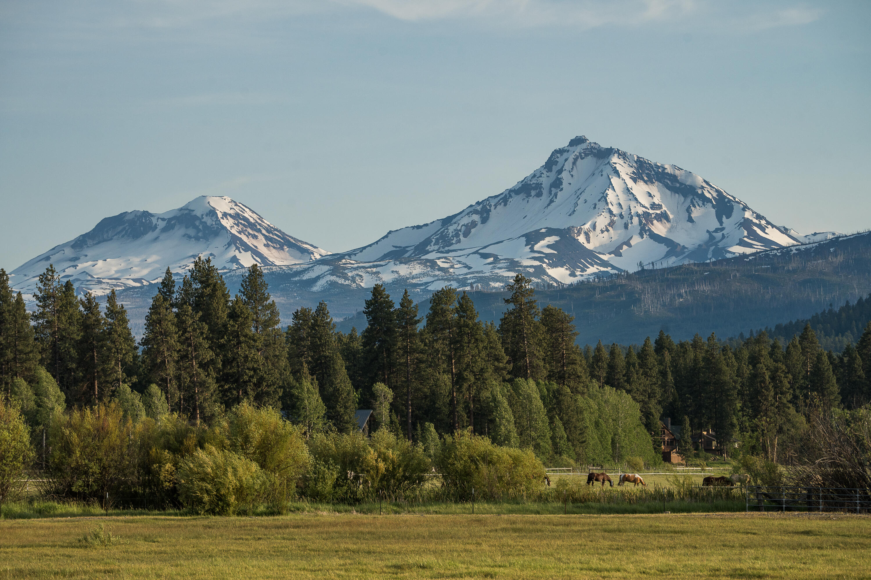 70457 Ponderosa Lane