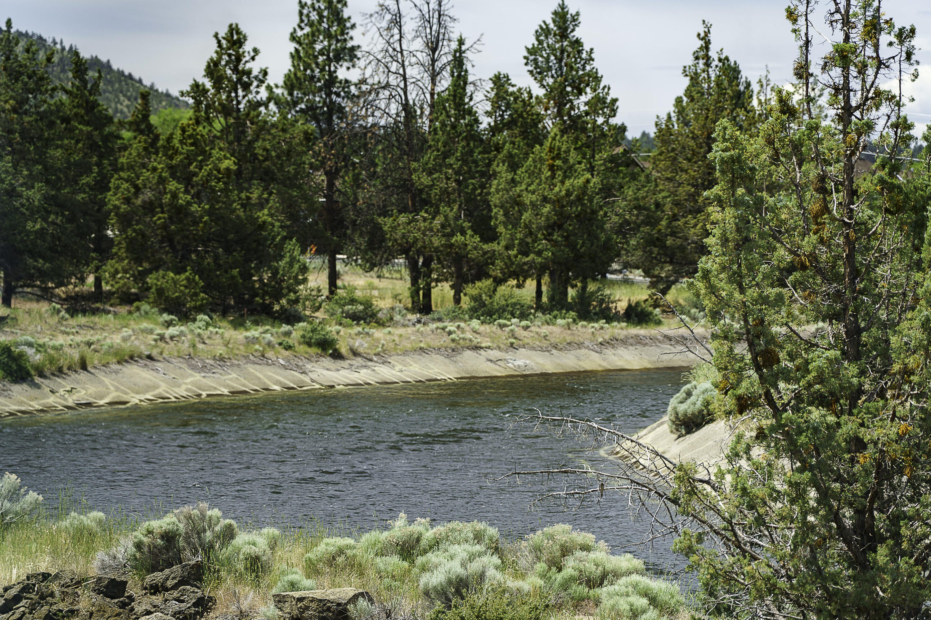 3771 NE Tellus Drive