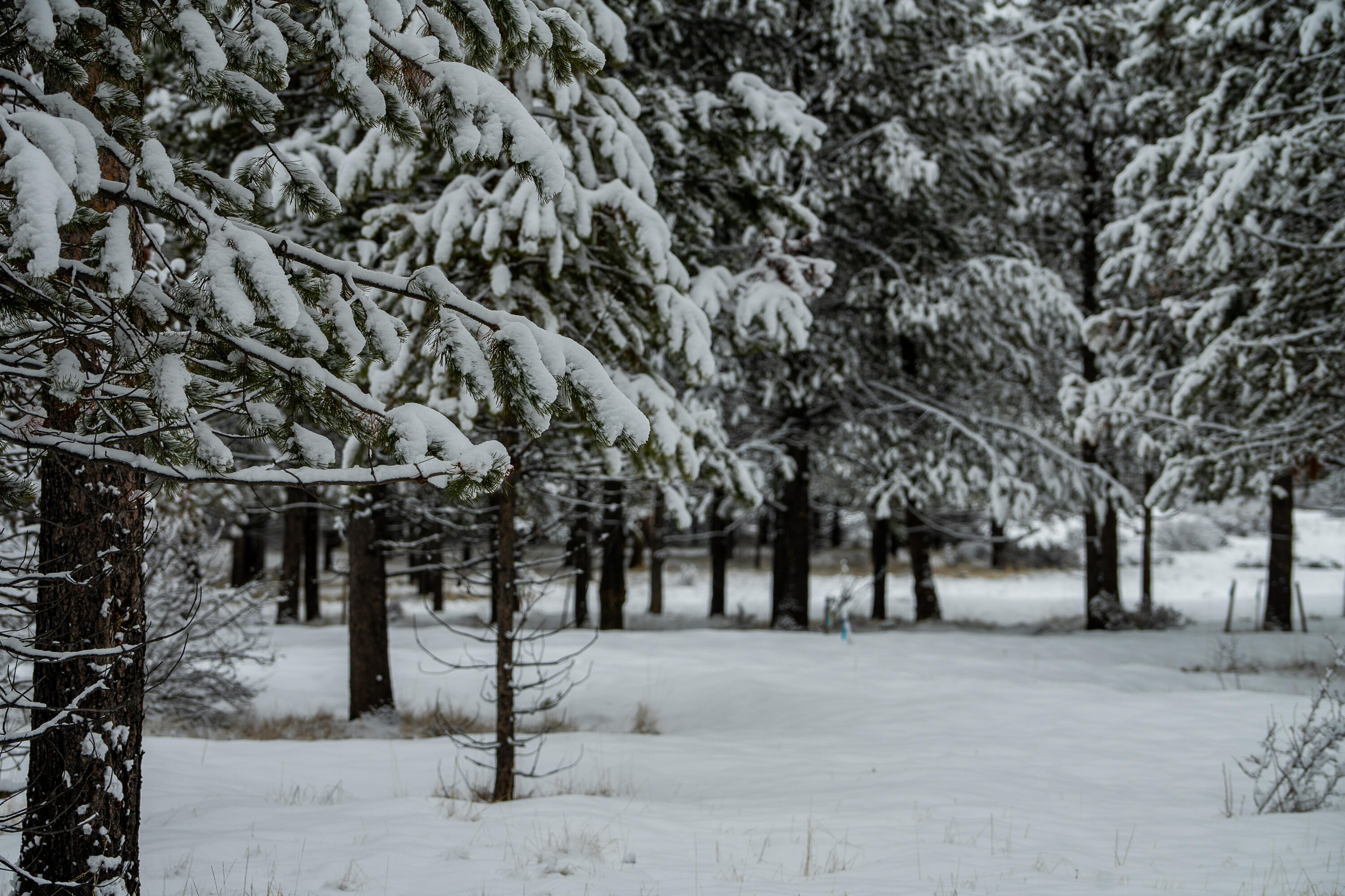 56340 Twin Rivers Drive