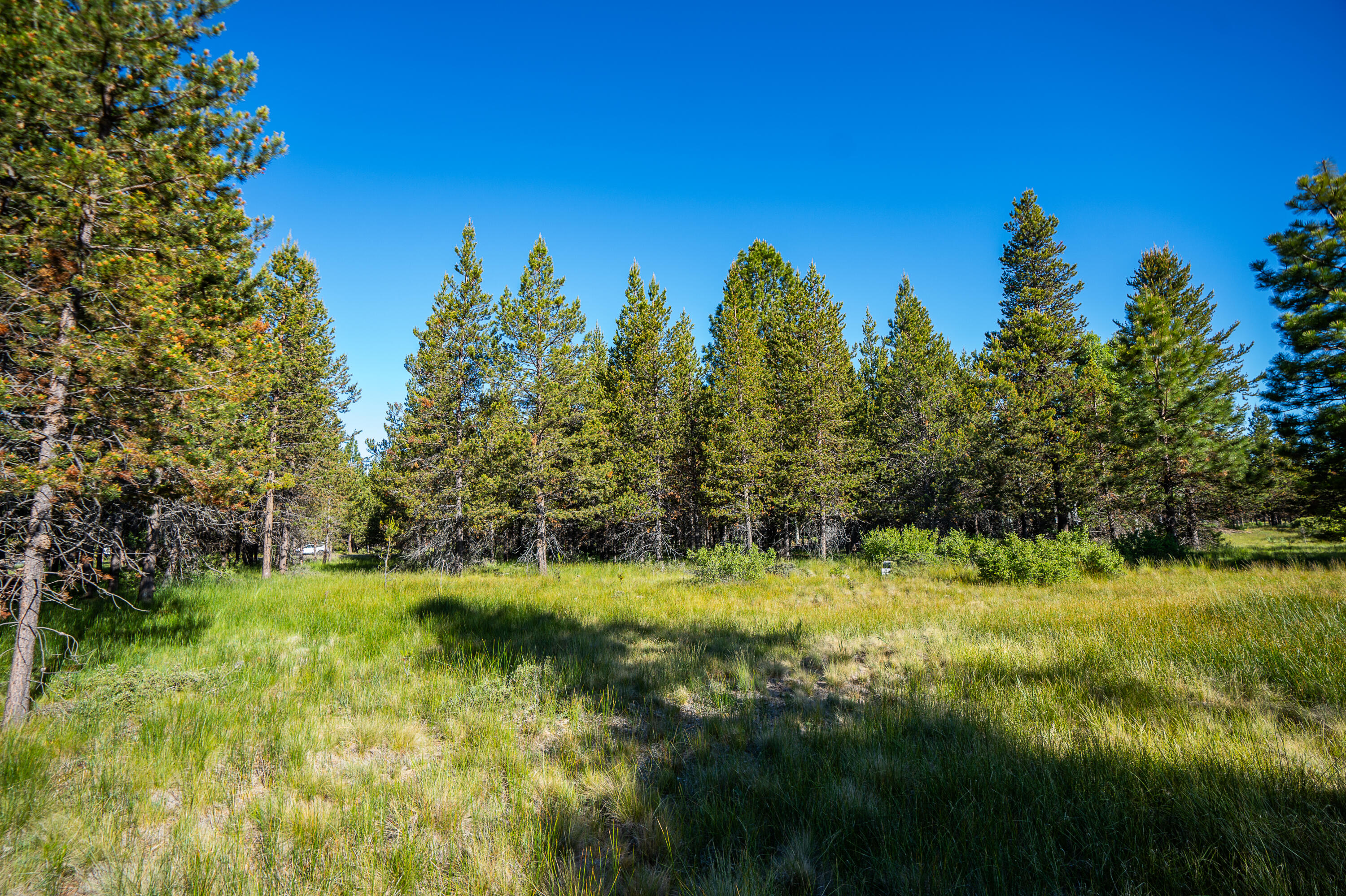 56340 Twin Rivers Drive