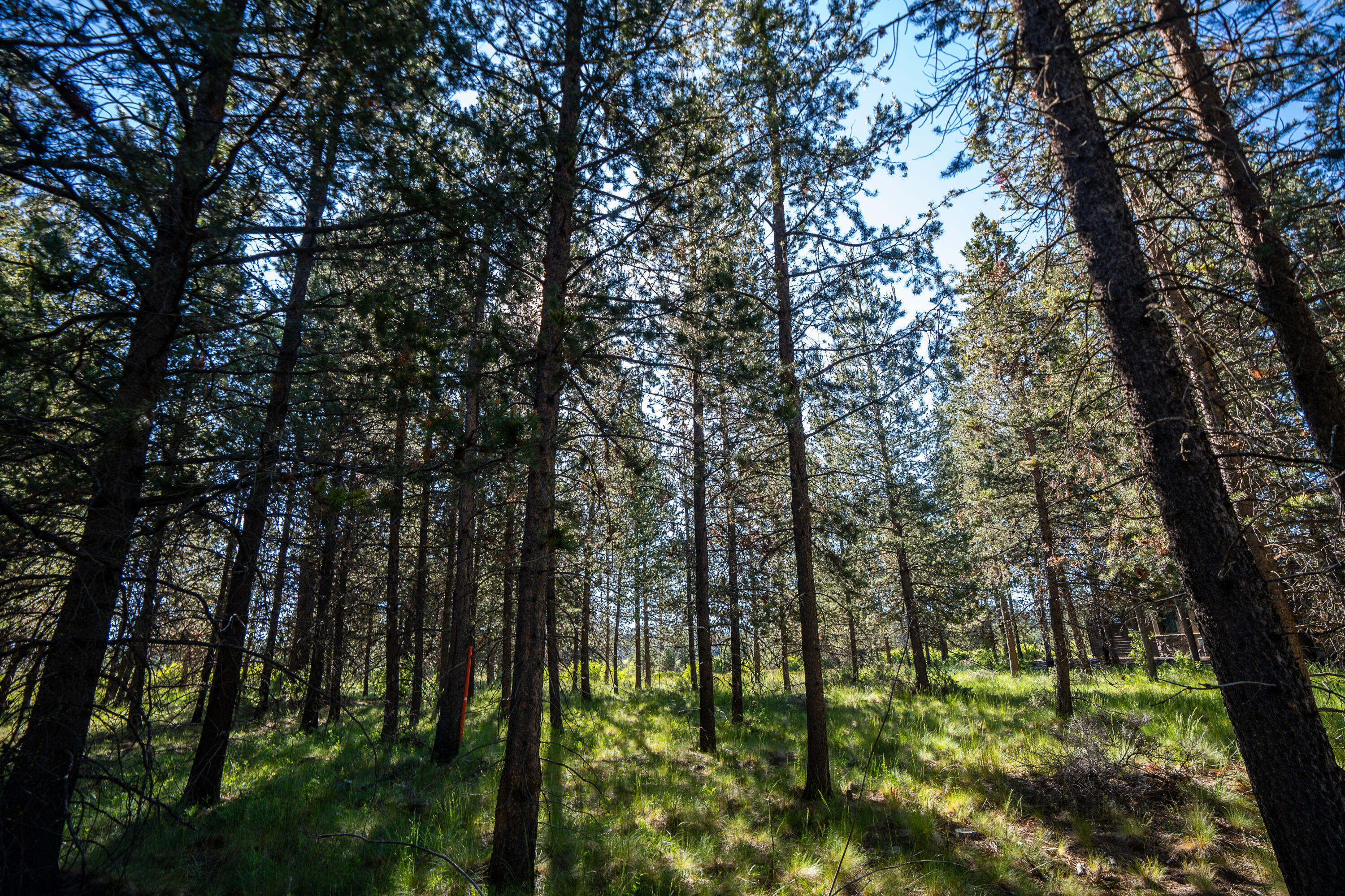 56340 Twin Rivers Drive